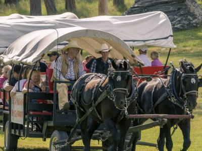 Palmer Gulch Stables: Black Hills (Mt. Rushmore Resort & KOA)